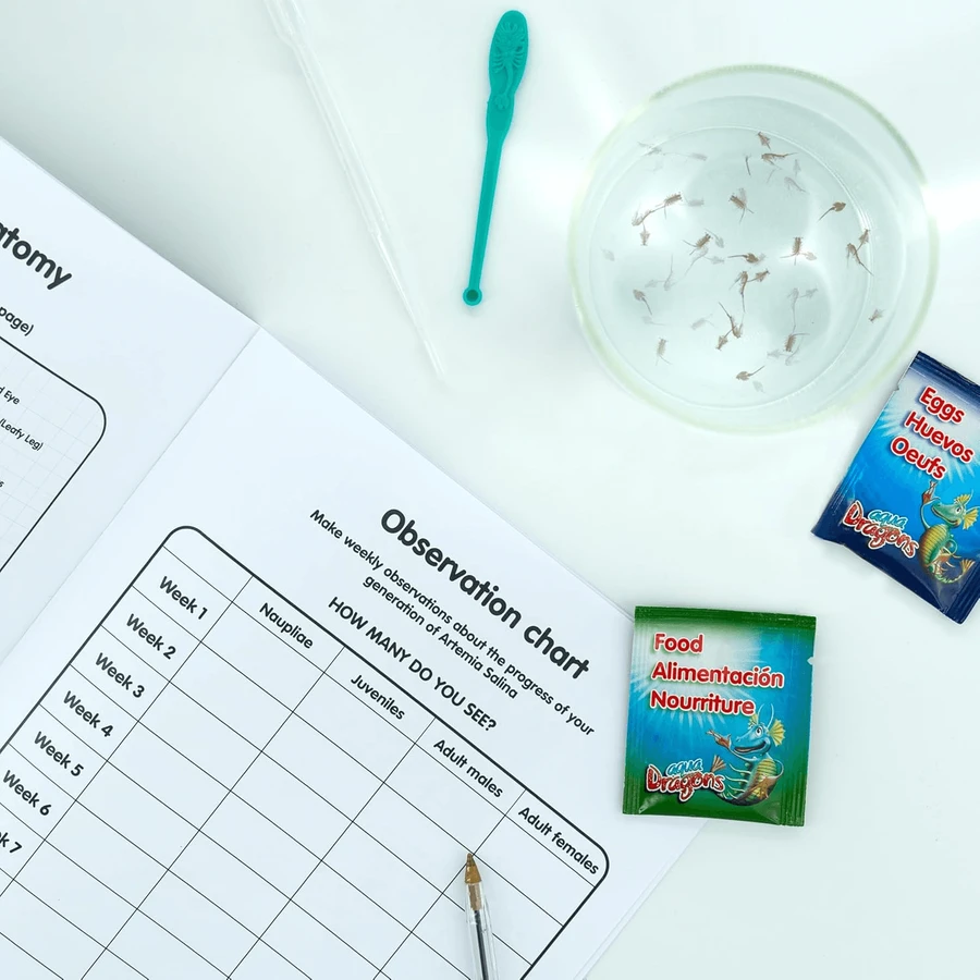 Kit educativo sobre el ciclo vital de Artemia Salina