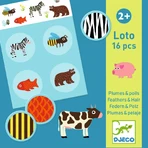 Djeco Fur and Penis Lotto