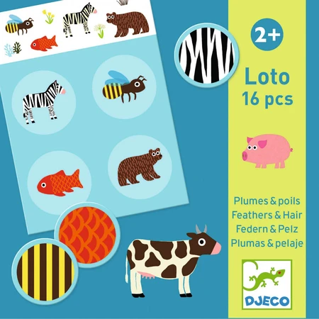 Djeco Fur and Penis Lotto