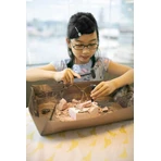 Educational set Dig & Discover Dinosaurs - Triceratops