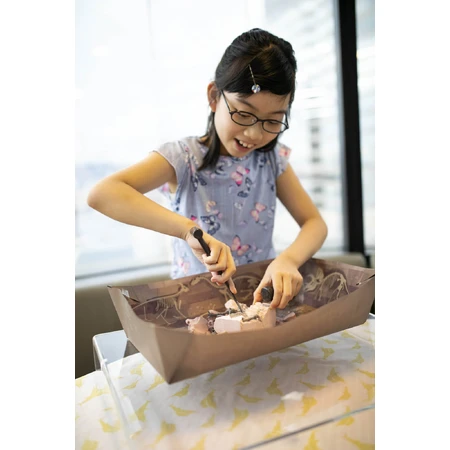 Educational set Dig & Discover Dinosaurs - Triceratops