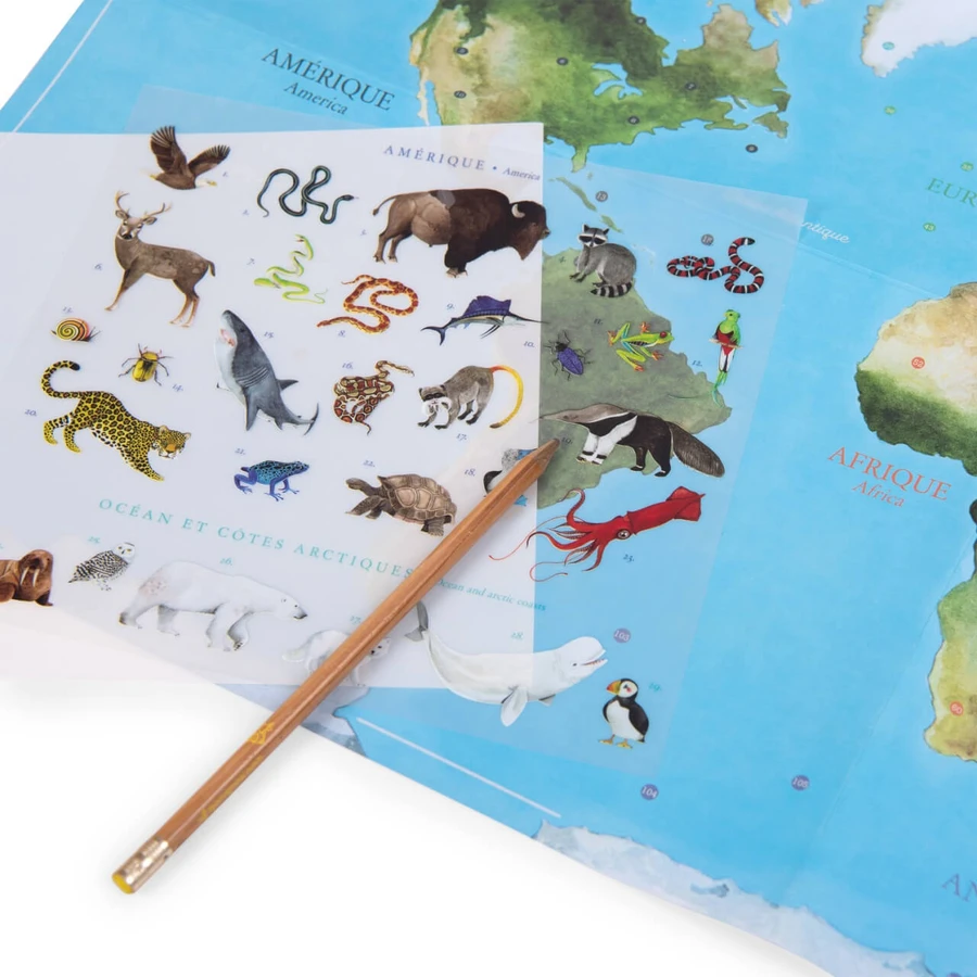 Juego de traslado Mapa del mundo, Moulin Roty