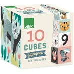 Carlslund Pyramid Cubes