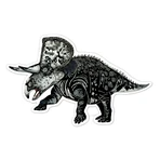 Radierbare Sticker - Dinosaurier, Kollektion Natural Creations