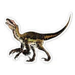 Radierbare Sticker - Dinosaurier, Kollektion Natural Creations