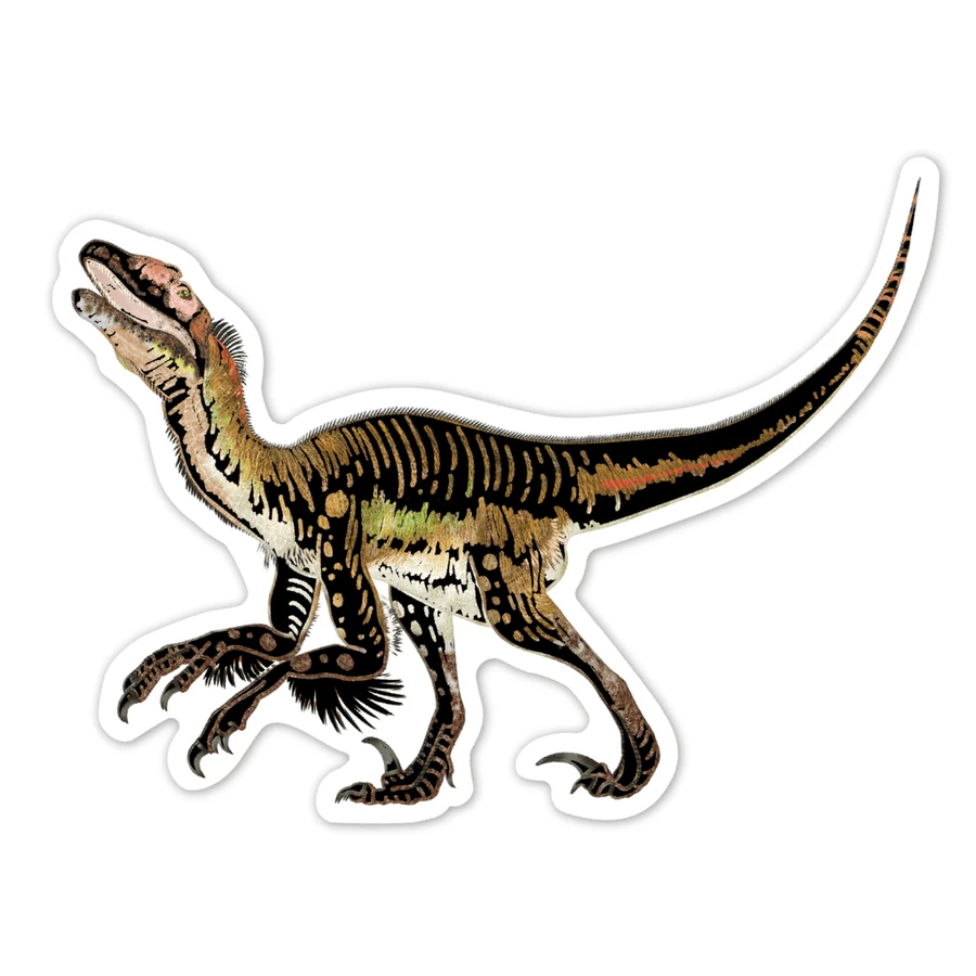 Radierbare Sticker - Dinosaurier, Kollektion Natural Creations