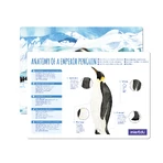 3D adjustable puzzle - Imperial Penguin (deluxe)