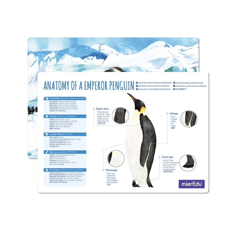 3D adjustable puzzle - Imperial Penguin (deluxe)