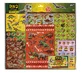 Super set of dinosaur stickers