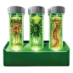 Fluorescent Creatures Lab Kit - KidsLabs