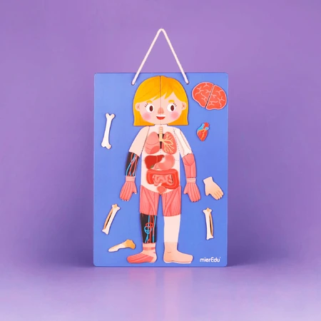 Magnetisch educatief spel - Alles over lichaam en emoties