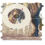 Evolutieve en omkeerbare puzzel Londji, Unicorn Party