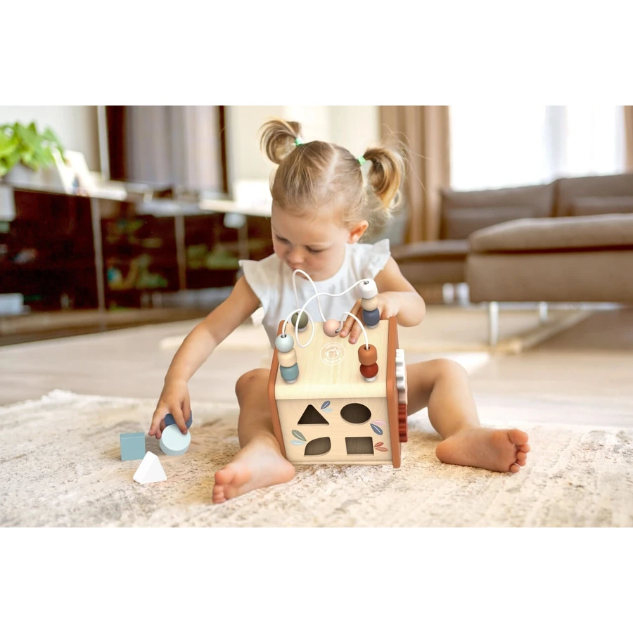 5-in-1 educatieve kubus, Speedy Monkey