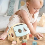 Caja clasificadora con formas, Speedy Monkey