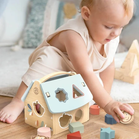 Caja clasificadora con formas, Speedy Monkey