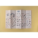 Poster du monde animal avec autocollants, Londji