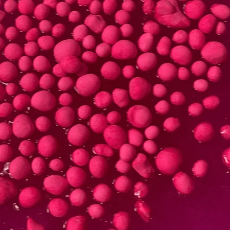 DIY-Experimentierkasten SLIME - MAGIC PINK XL