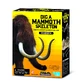 Set educativo Dig & Discover Dinosaurios - Mamut