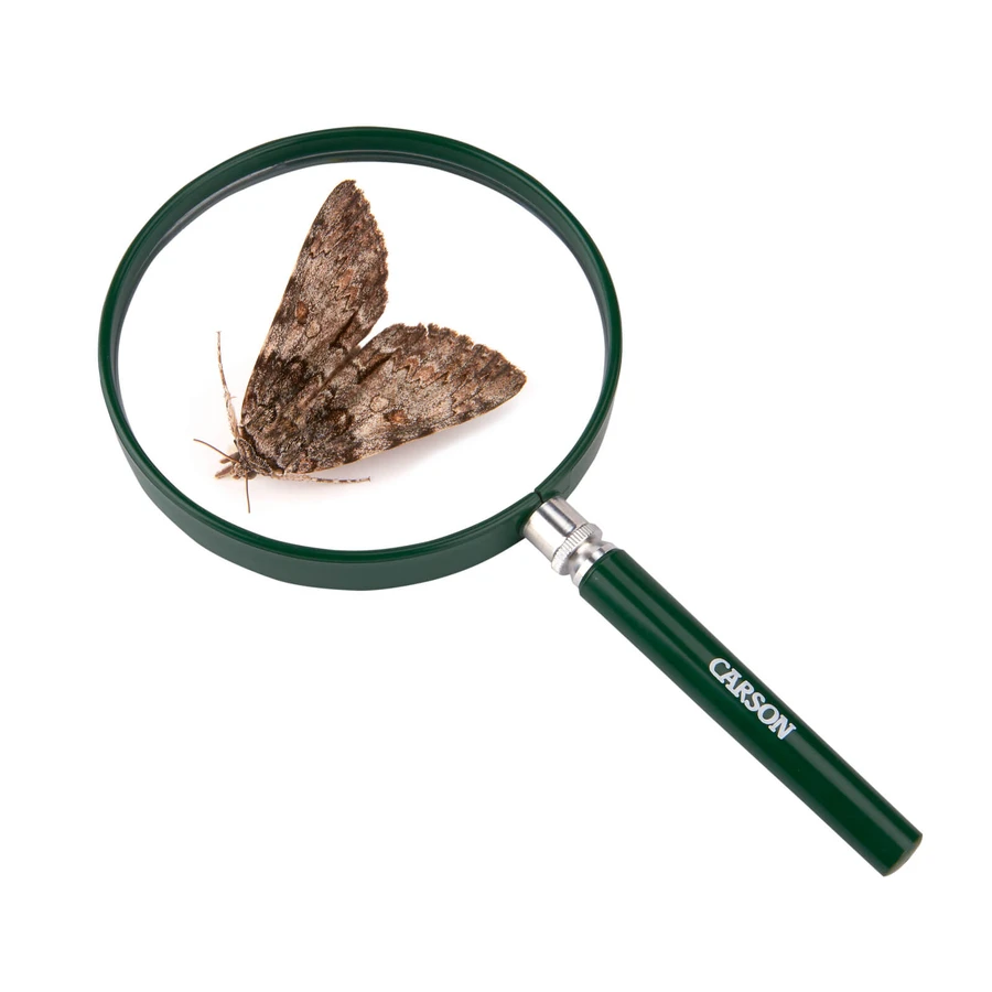 BigEye magnifier with large lens and 2x magnification