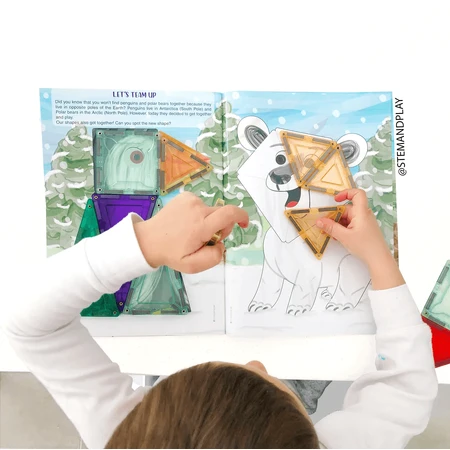 Activity book for magnetic construction sets