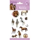 Tatoeages van paarden