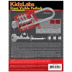 KidzLabs giant translucent KidzLabs giant translucent baby latch