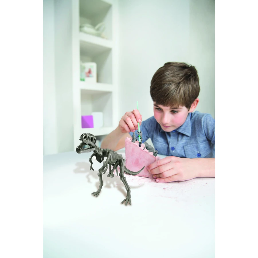 Educatieve set Graaf en ontdek dinosaurussen - T-Rex