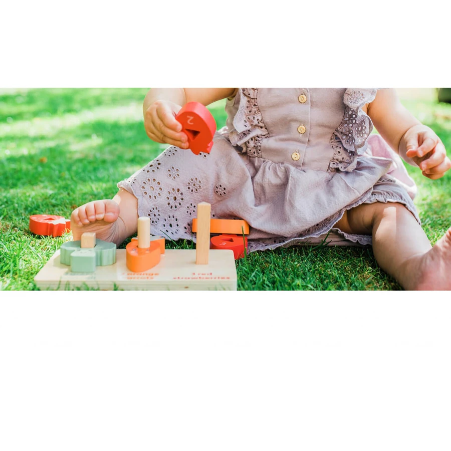 Sorteer- en telspel, Orange Tree Toys