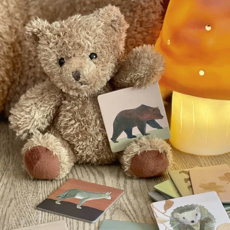 Memory game Padure, Egmont toys