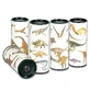 Dinosaur Kaleidoscope, Fridolin