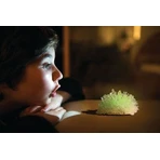 Groei-experimenten set, fosforescerende kristallen - glow in the dark