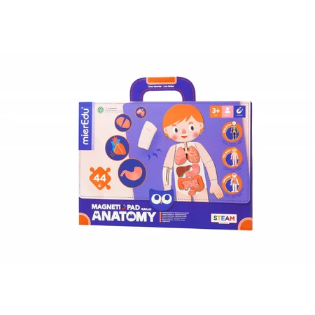 Jeu magnétique éducatif - Anatomie humaine