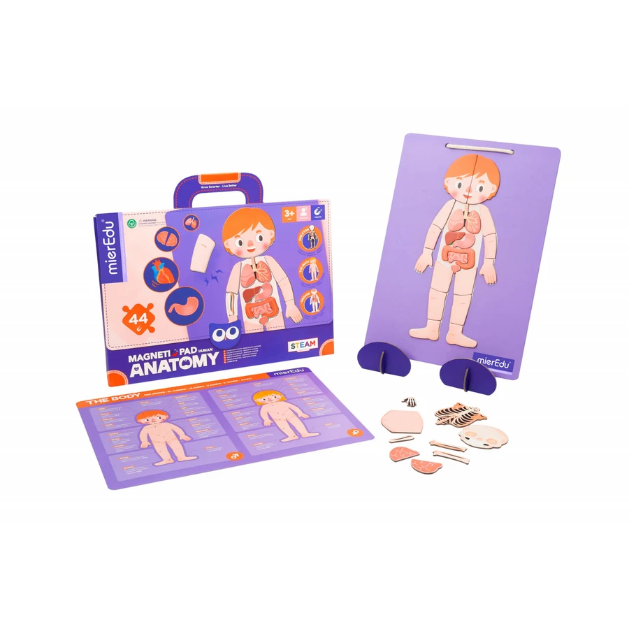 Jeu magnétique éducatif - Anatomie humaine