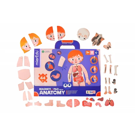 Jeu magnétique éducatif - Anatomie humaine