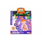 Jeu magnétique éducatif - Anatomie humaine