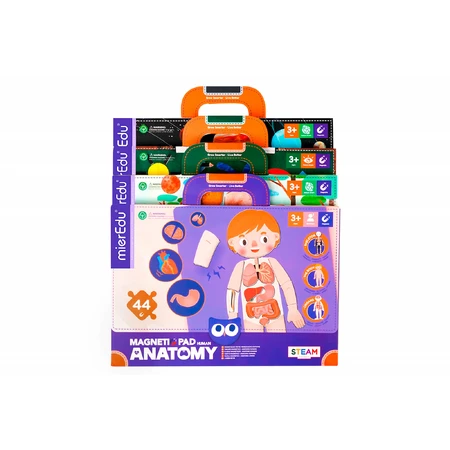 Jeu magnétique éducatif - Anatomie humaine