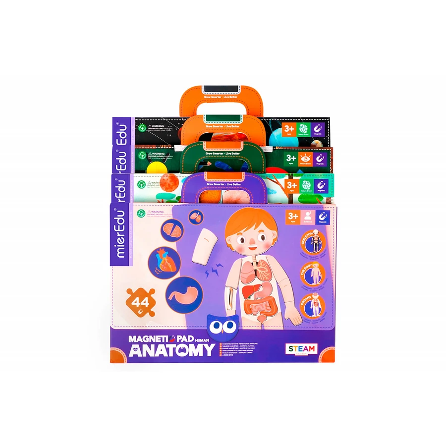 Jeu magnétique éducatif - Anatomie humaine