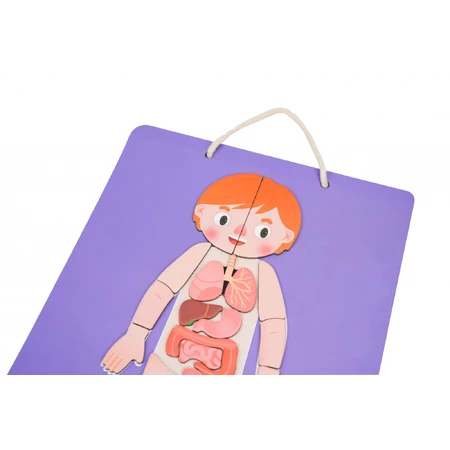 Jeu magnétique éducatif - Anatomie humaine