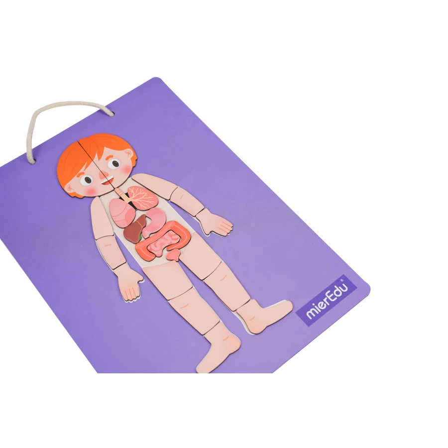 Jeu magnétique éducatif - Anatomie humaine