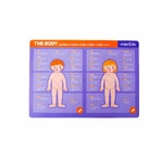 Jeu magnétique éducatif - Anatomie humaine