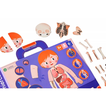 Jeu magnétique éducatif - Anatomie humaine