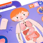 Jeu magnétique éducatif - Anatomie humaine