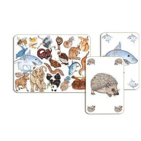 Jeu d'observation Zanimatch Djeco