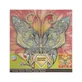 Creative set with rhinestones, Diamond paint, Canvas Butterfly
