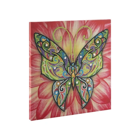 Creative set with rhinestones, Diamond paint, Canvas Butterfly