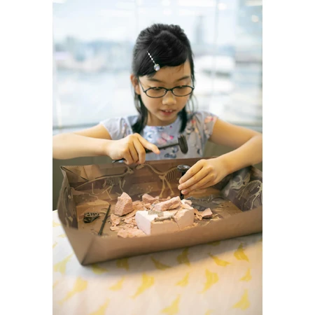 Educational set Dig and Discover Dinosaurs - Stegosaurus