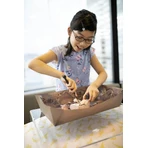 Educational set Dig and Discover Dinosaurs - Stegosaurus
