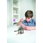 Educational set Dig and Discover Dinosaurs - Stegosaurus