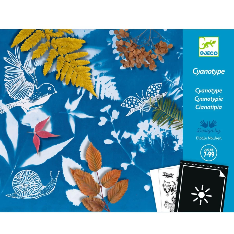 Creative workshop Cianotip, Djeco