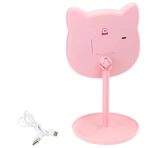 Pink It makeup mirror